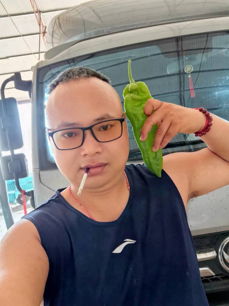 301泡椒电商线椒螺丝苏椒芜湖椒万亩大棚基地直发龚垒代发