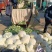 【精品有机菜花】基地现货直发，整车走量大稳定供应欢迎来电