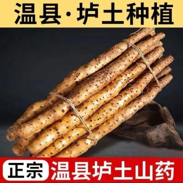正宗温县垆土铁棍山药,产地直发,对接社区商场全国批发市场