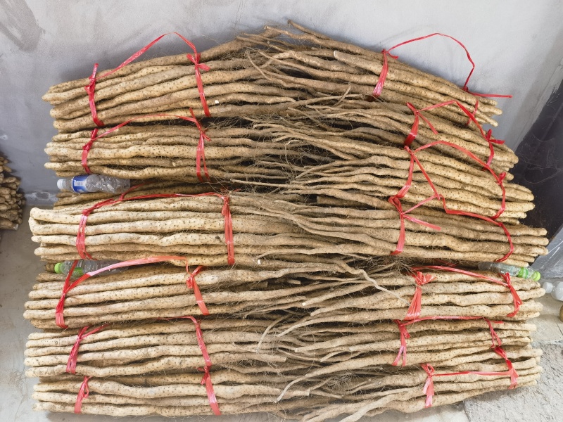 正宗温县垆土铁棍山药，产地直发，对接社区商场全国批发市场