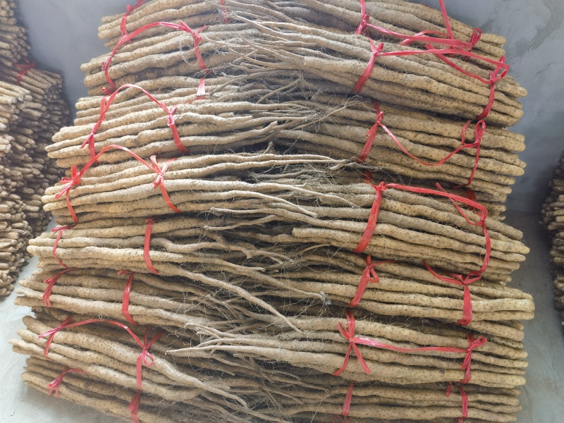 正宗温县垆土铁棍山药，产地直发，对接社区商场全国批发市场