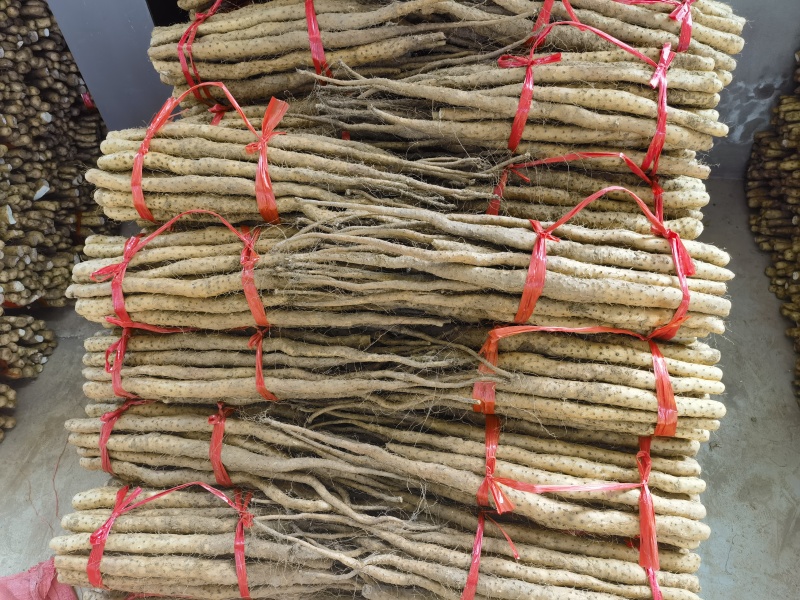 正宗温县垆土铁棍山药，产地直发，对接社区商场全国批发市场