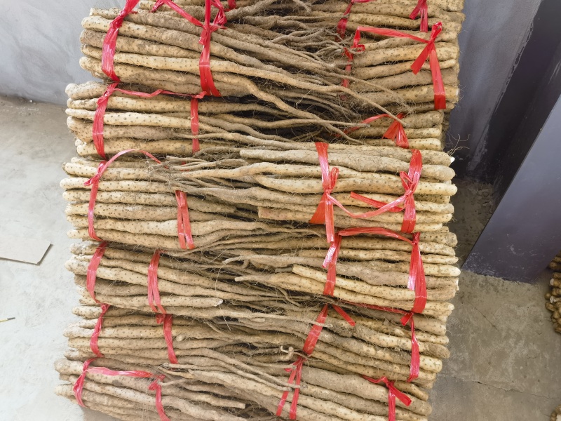 正宗温县垆土铁棍山药，产地直发，对接社区商场全国批发市场