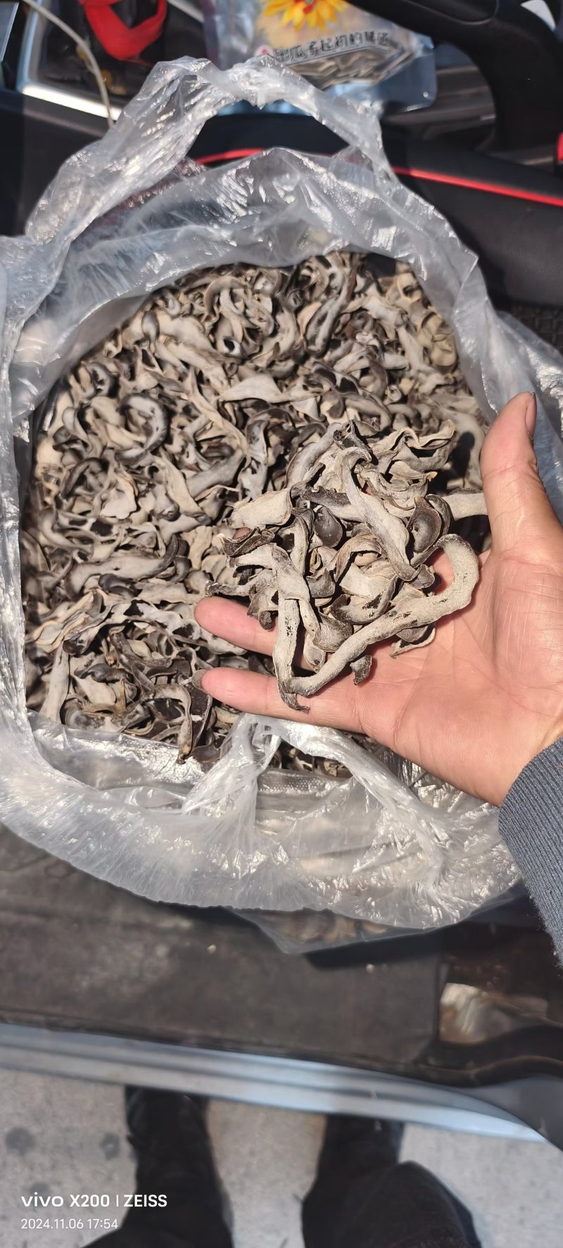 猫爪豆干品农民自种自干