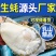 【精品手挑】乳山生蚝海蛎子牡蛎自有工厂