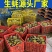 【精品手挑】乳山生蚝海蛎子牡蛎自有工厂