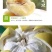 自家种植四十年老树文旦柚玉环特产