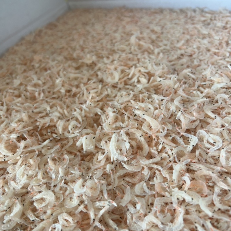 虾皮虾干干虾地摊电商批发水晶虾干干虾皮