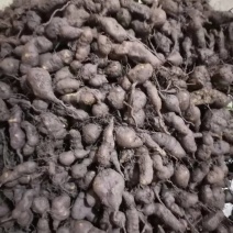 贵州精品三叶青鲜果，产地直发品质保证量大从优***的