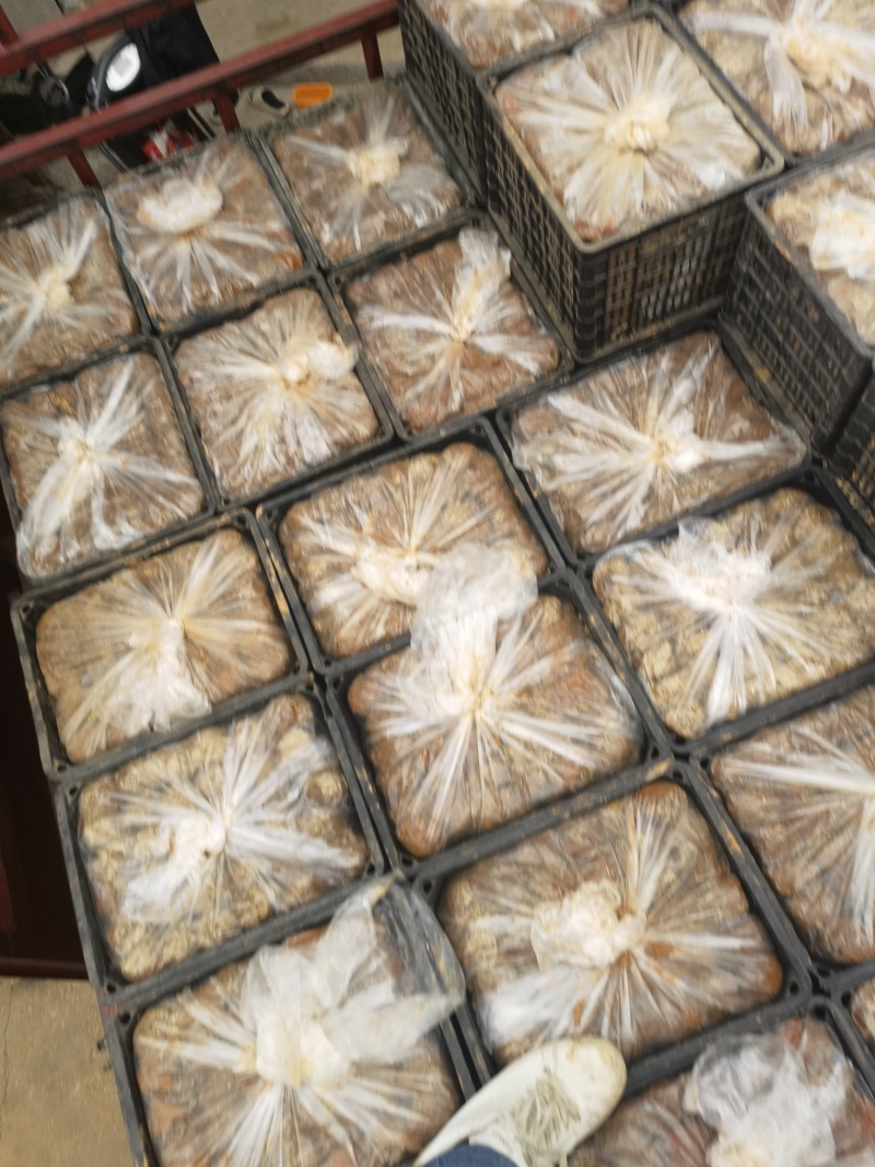 跑江湖，赶集松花蛋江西厂家常年供应
