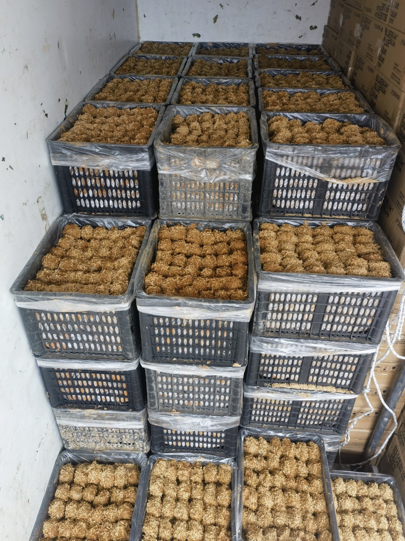 跑江湖，赶集松花蛋江西厂家常年供应