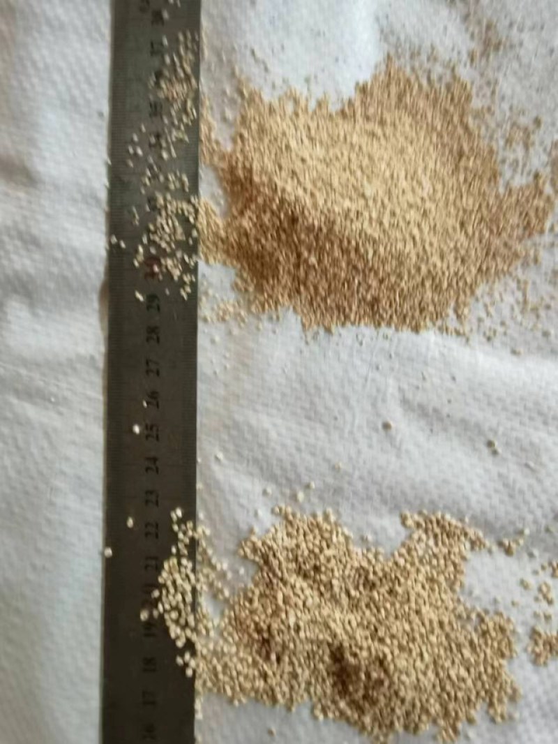 大量供应优质抛光玉米芯颗粒，