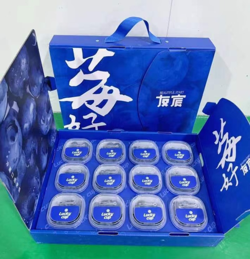 京东/顺丰航空包邮一件代发批发云南新鲜蓝莓纯甜花香L25