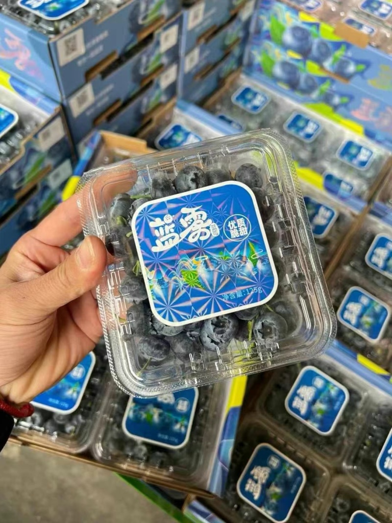 京东/顺丰航空包邮一件代发批发云南新鲜蓝莓纯甜花香L25