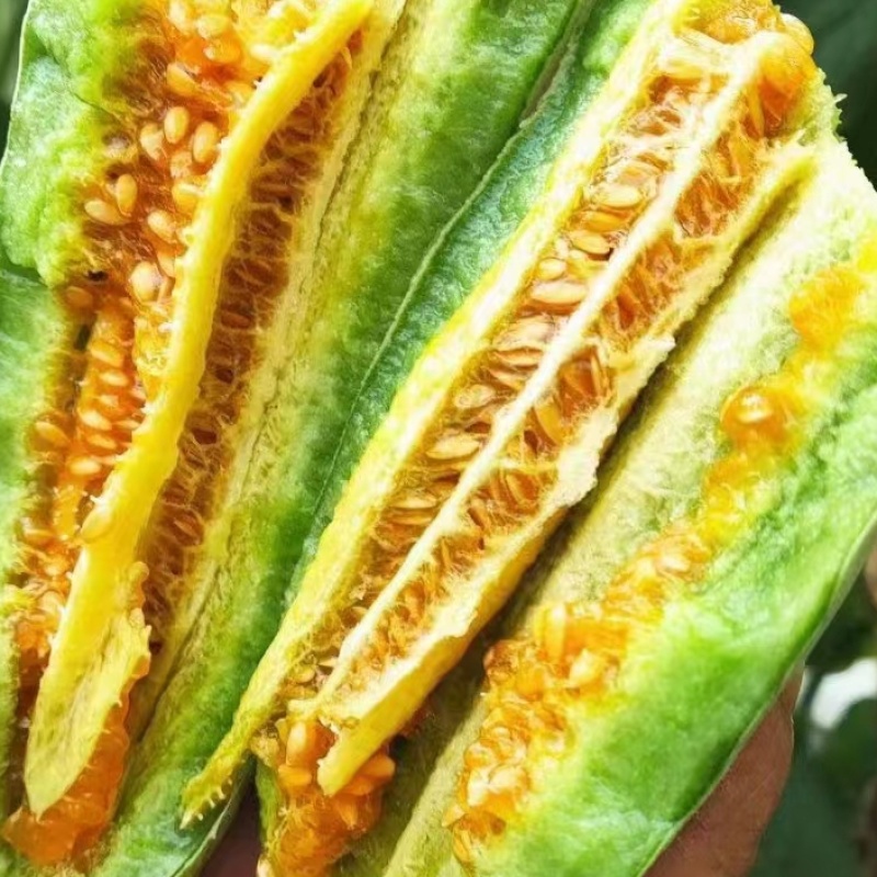 盘古蜜羊角蜜甜瓜大量供应，山东产地批发，货源充足