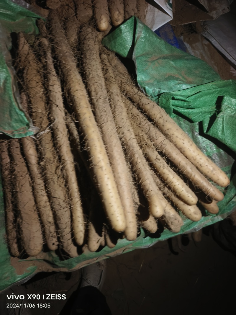 麻山药