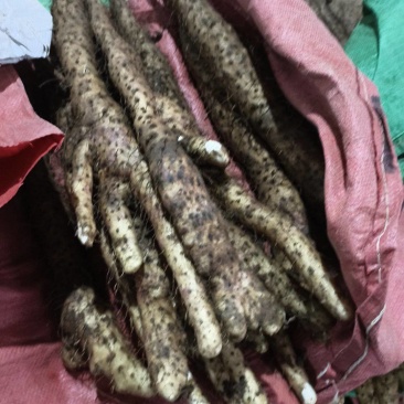 分叉垆土铁棍山药，断山药大量接单产地直发量大从优