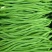 无筋豆种子泰美无筋豆荚长翠绿色无筋结荚密产量高
