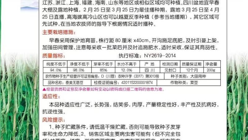 无筋豆种子泰美无筋豆荚长翠绿色无筋结荚密产量高