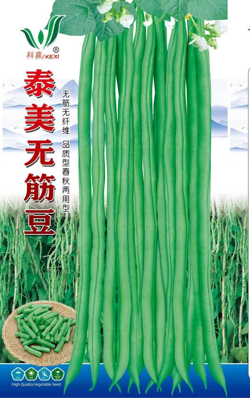 无筋豆种子泰美无筋豆荚长翠绿色无筋结荚密产量高