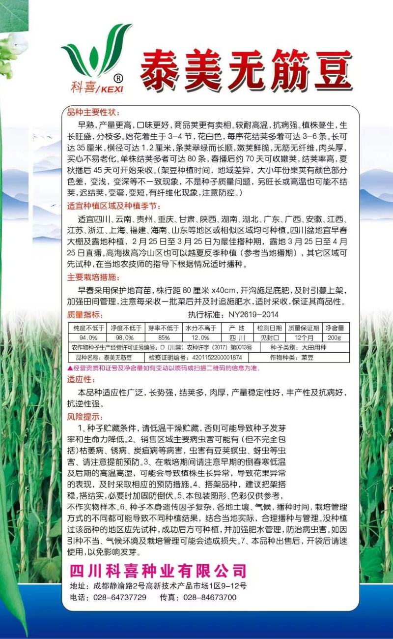 无筋豆种子泰美无筋豆荚长翠绿色无筋结荚密产量高