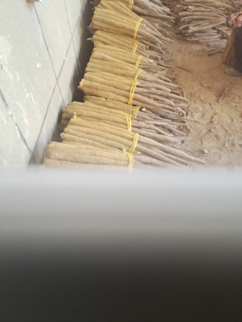 河北白玉山药大量有货规格齐全质量保证欢迎各位老板选购