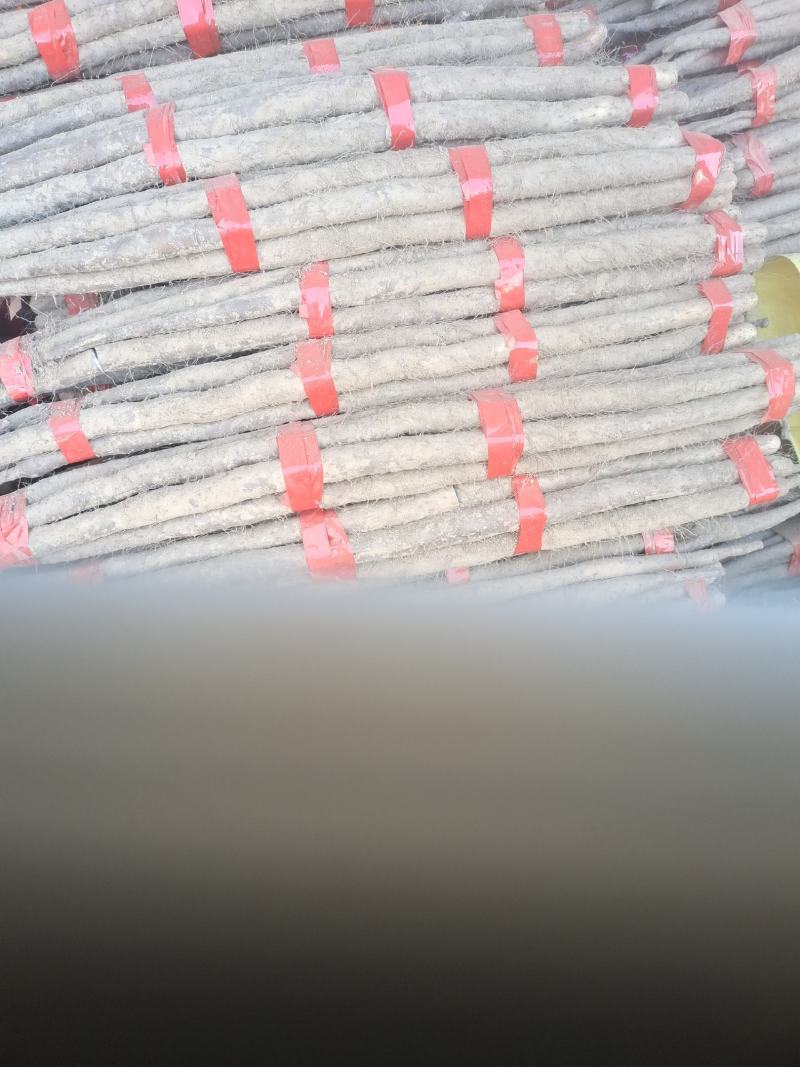 白玉山药，精品货，大通货，应有尽有，价格可洽谈，品质保证