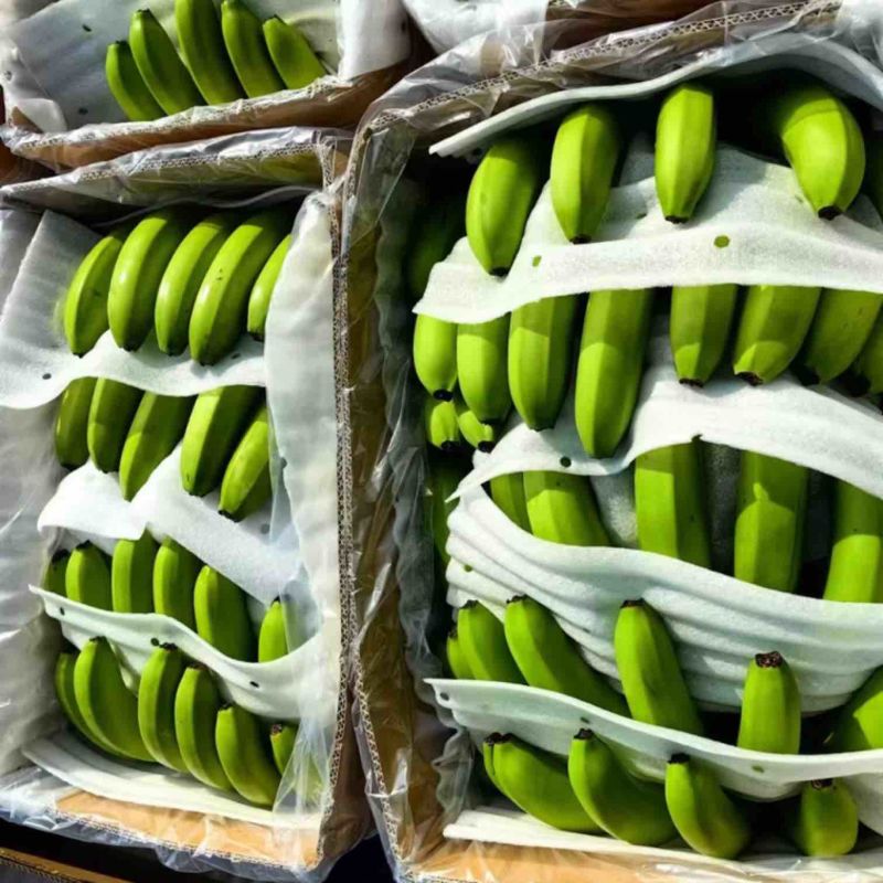 香蕉