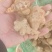 洋姜菊芋