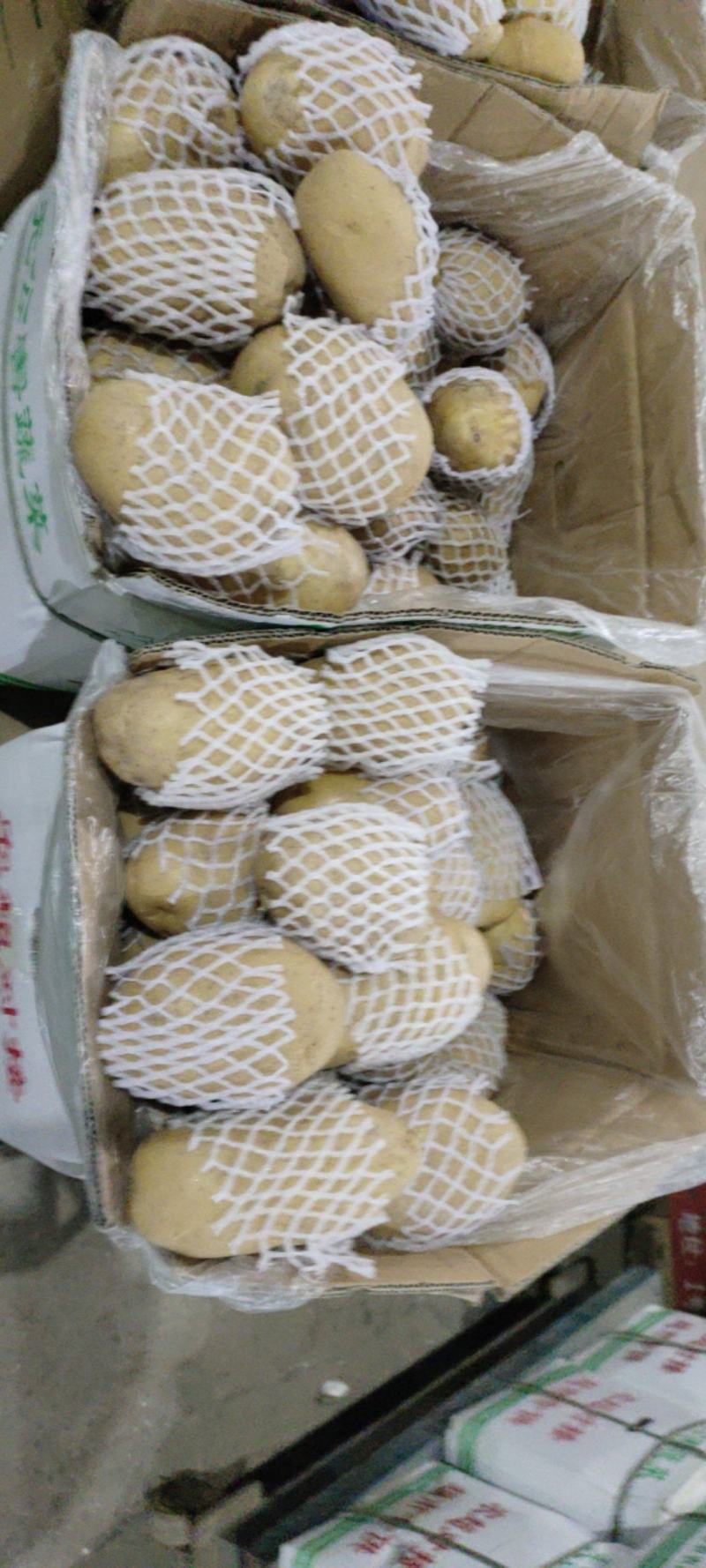 乌鲁木齐九鼎黄心沃土土豆，全国发货，可视频看货，一手货源
