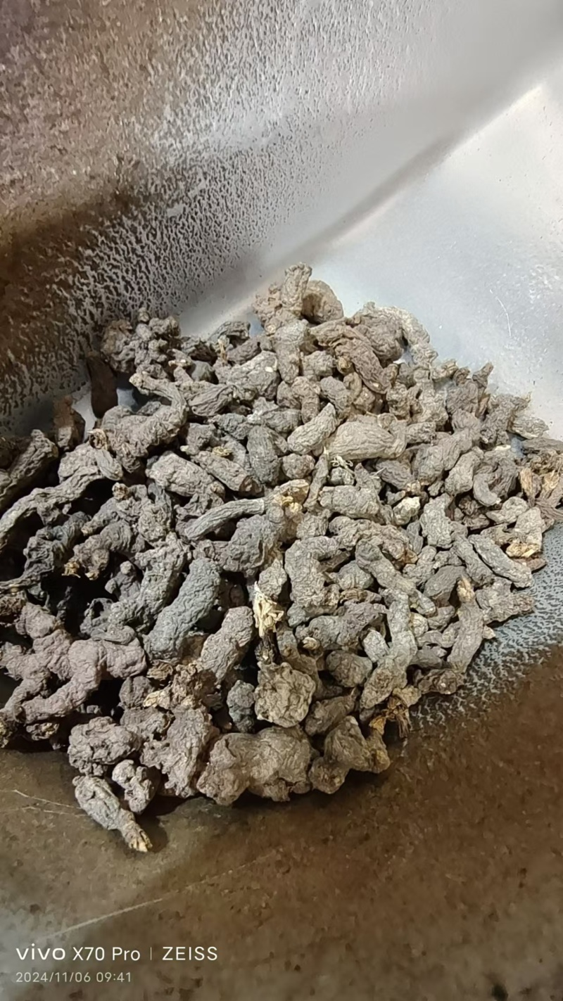 天葵子干货干净无杂质量大从优