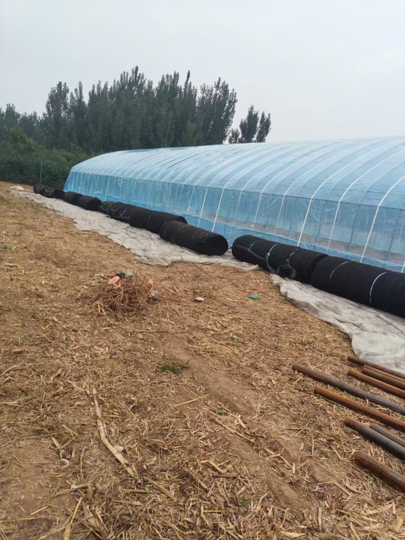 新型蔬菜大棚种植大棚镀锌椭圆管骨架全套大棚抗压强