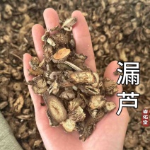 漏芦实拍漏芦根现货发货如图超干净发货前过筛