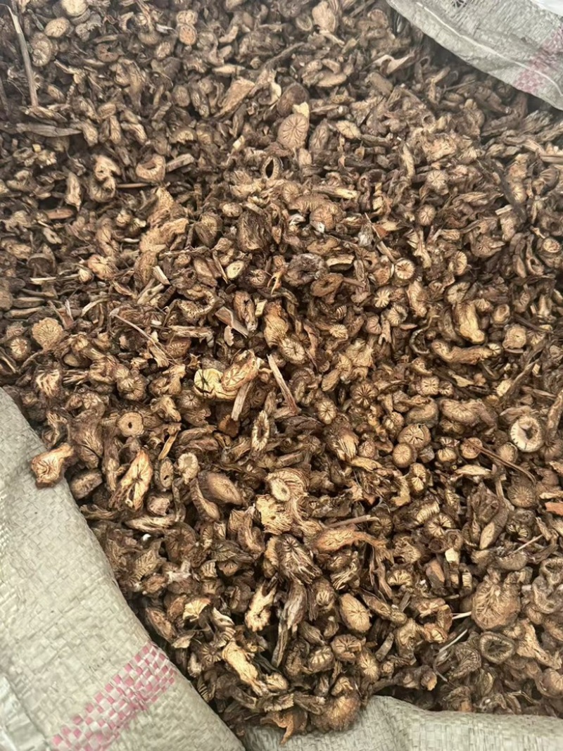 漏芦实拍漏芦根现货发货如图超干净发货前过筛