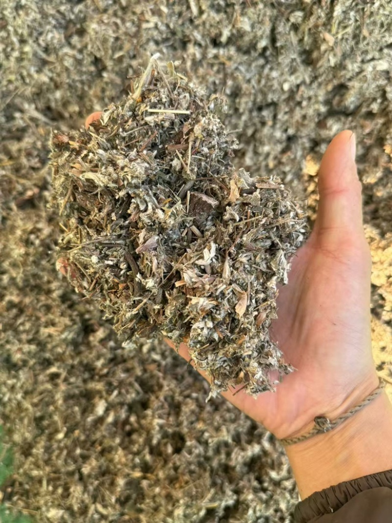 翻白草正品实拍干货干净发货如图现货翻白草