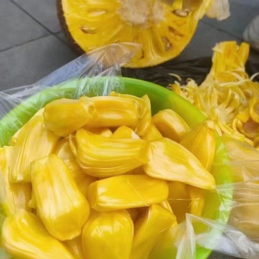 海南菠萝蜜黄肉干包产地现摘直发全国市场档口商超社团等