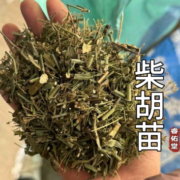 柴胡苗柴胡苗干货现货发货如图实拍