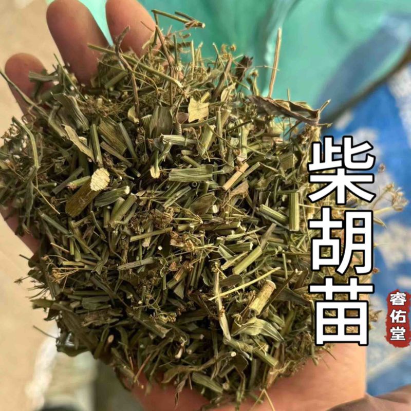 柴胡苗柴胡苗干货现货发货如图实拍