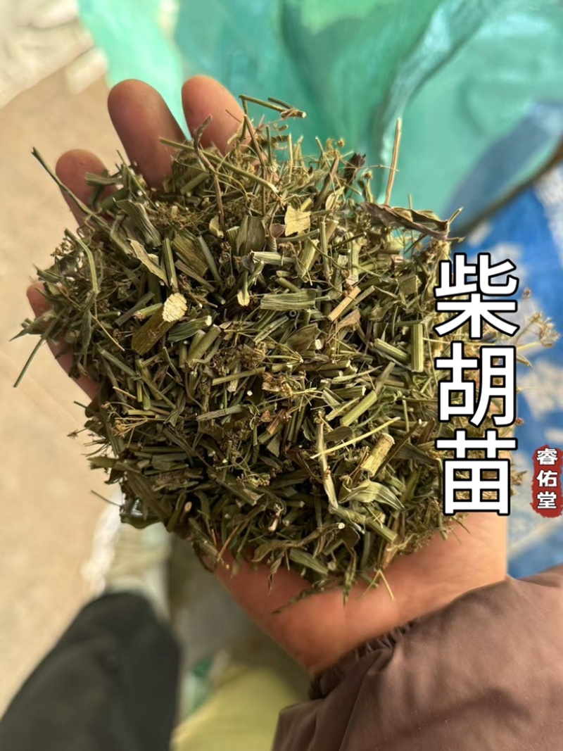 柴胡苗柴胡苗干货现货发货如图实拍