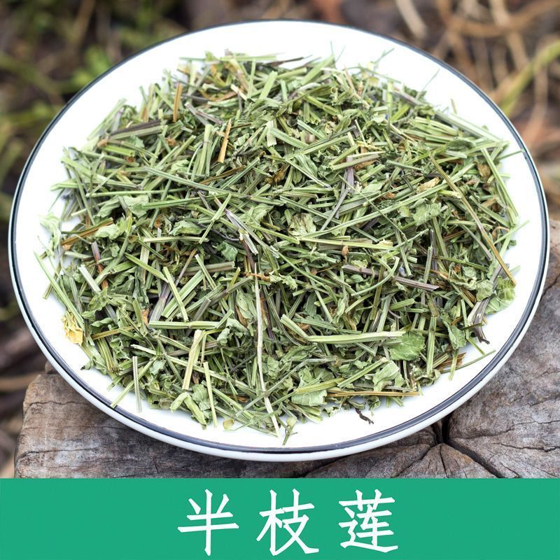 半枝莲