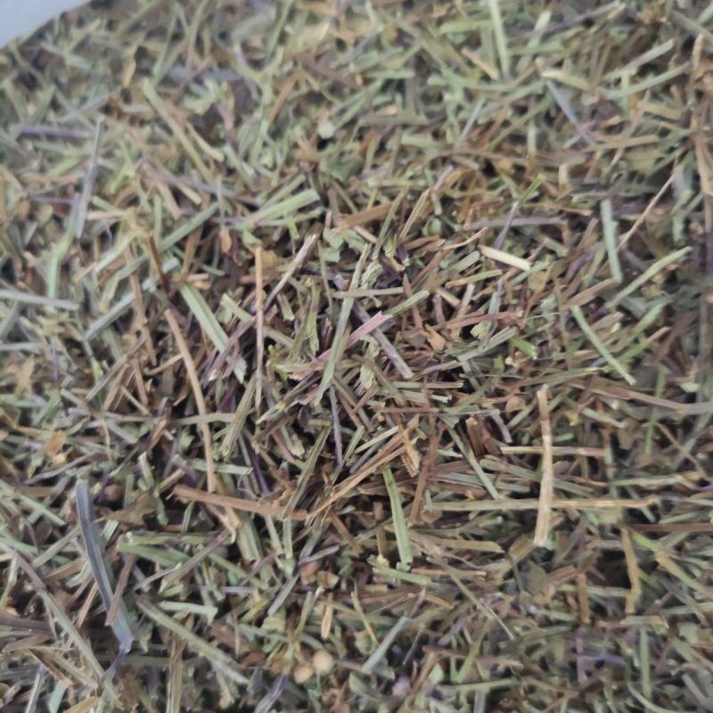 半枝莲