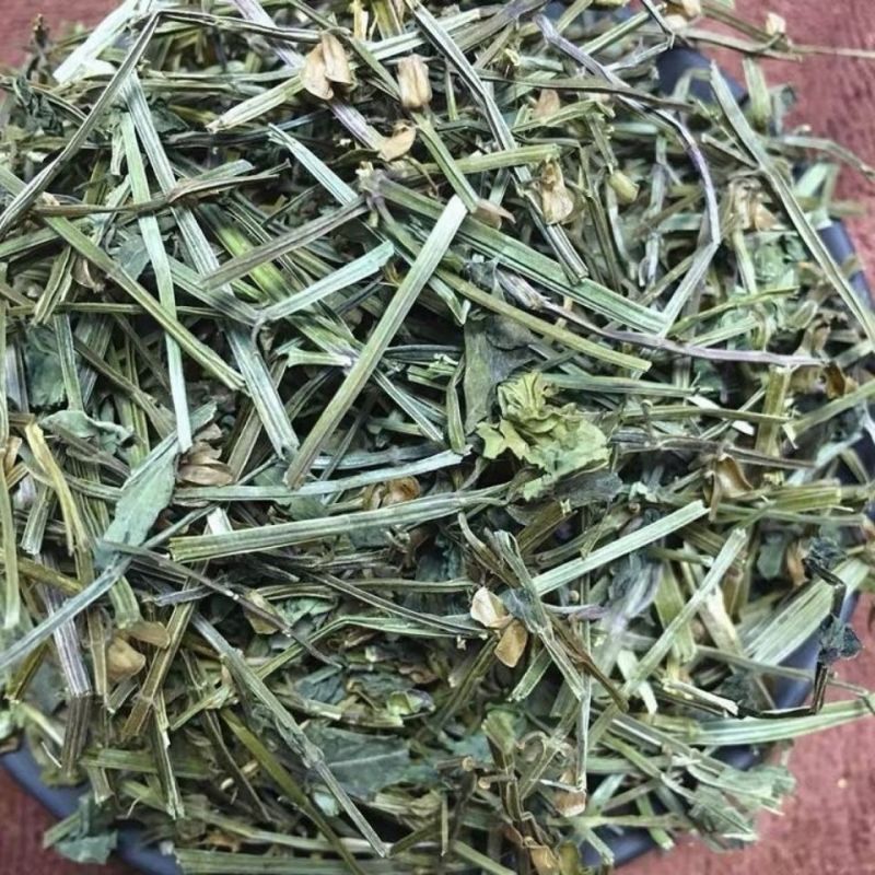 半枝莲