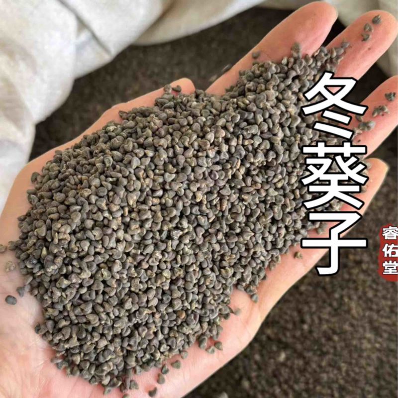 冬葵子茼麻子实拍货干净无杂质发货如图现货冬葵果