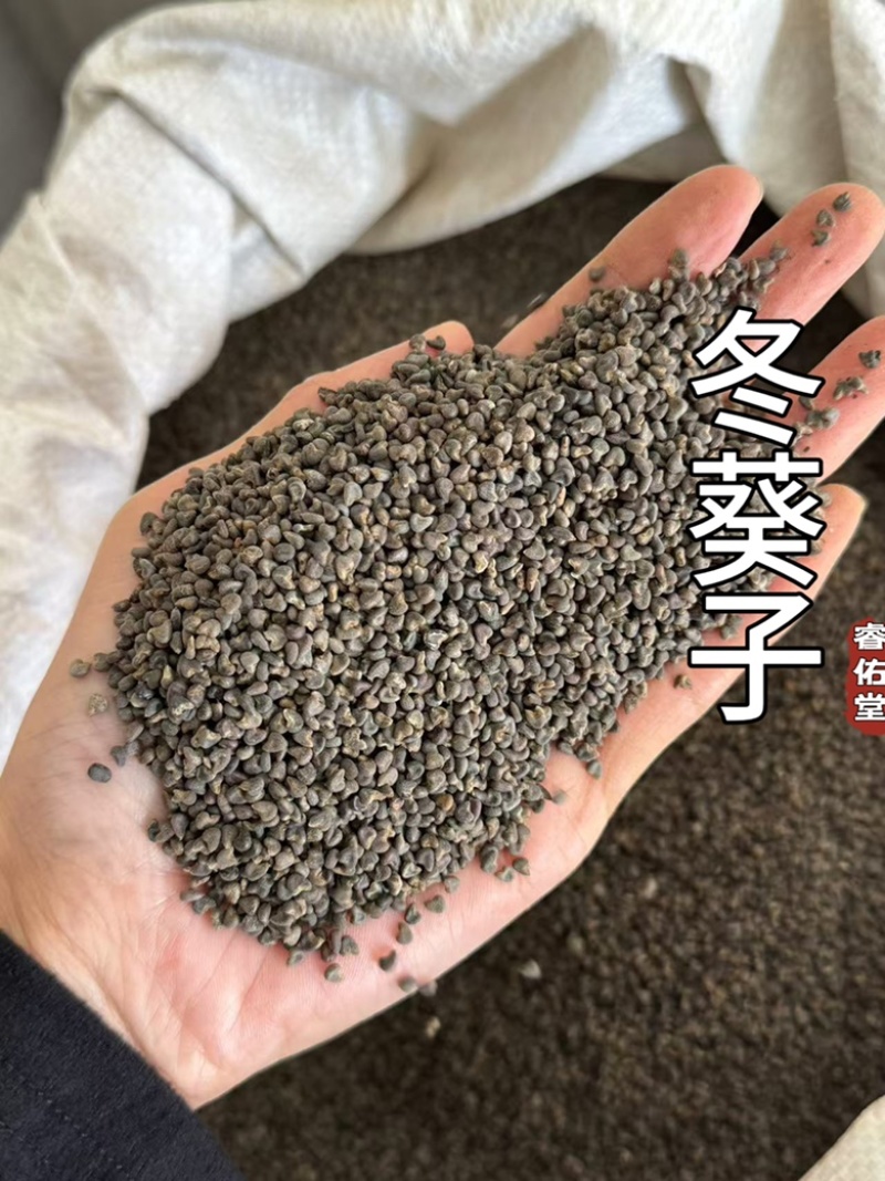 冬葵子茼麻子实拍货干净无杂质发货如图现货冬葵果