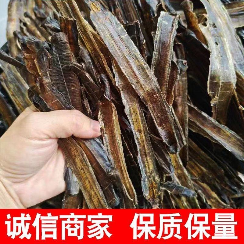 广西地龙，可视频看货