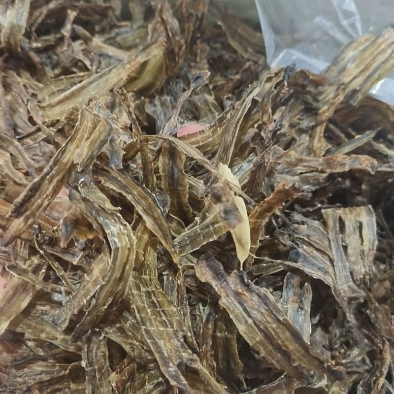 广西地龙，可视频看货