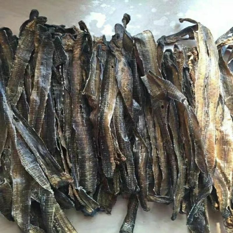广西地龙，可视频看货