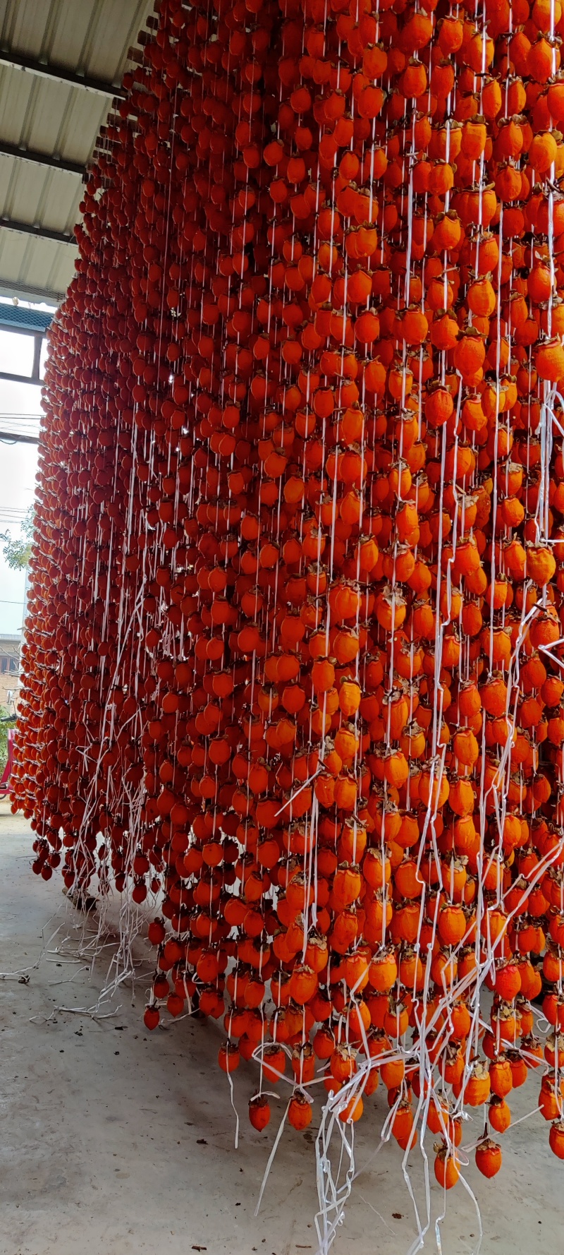 陕西富平柿饼