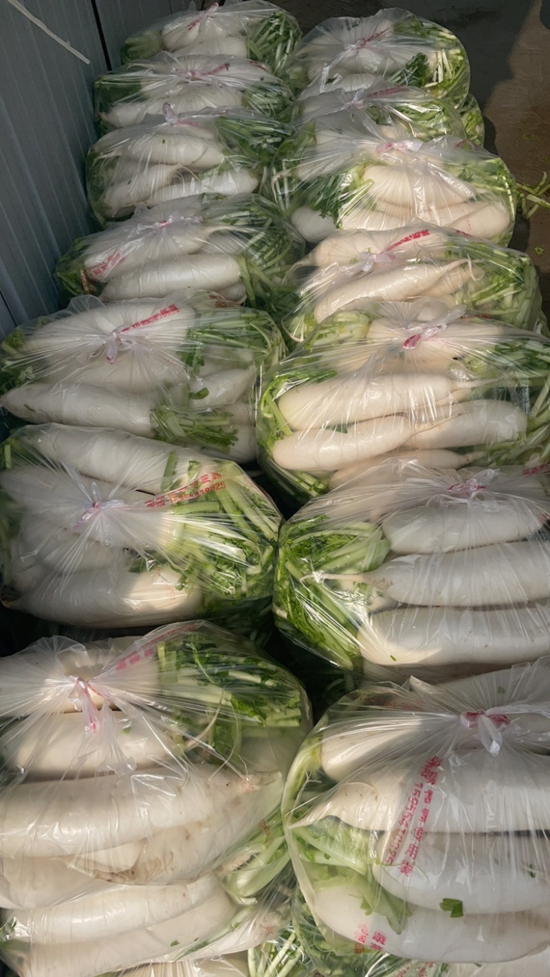 这里是万亩基地，需要收购大量萝卜的，请与我联系