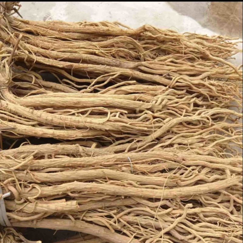 防风精品防风防风甘肃产地直发规格齐全批发零售